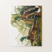 Puzzle Mallard Duck par John James Audubon (Vertical)