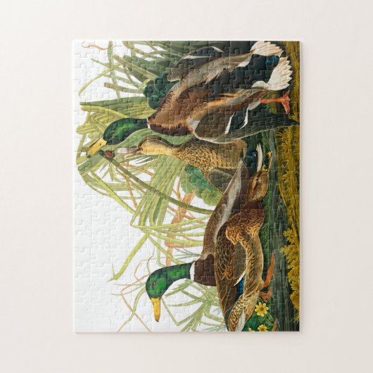 Puzzle Mallard Duck par John James Audubon (Vertical)