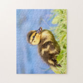 Puzzle Mallard Duckling (Vertical)