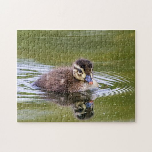 Puzzle Mallard Duckling (Horizontal)
