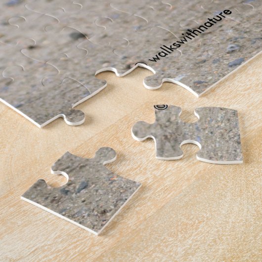 Puzzle Mallard Duclair à la maison Canard à la queue (Côté)