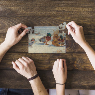 Puzzle Mallard et turquoise dans la neige, Oiseaux