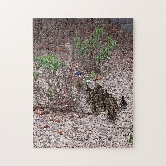 Puzzle mama canard et bébés (Vertical)