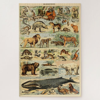 Puzzle Mammifères vintages Animaux Vieux art d'illustrati