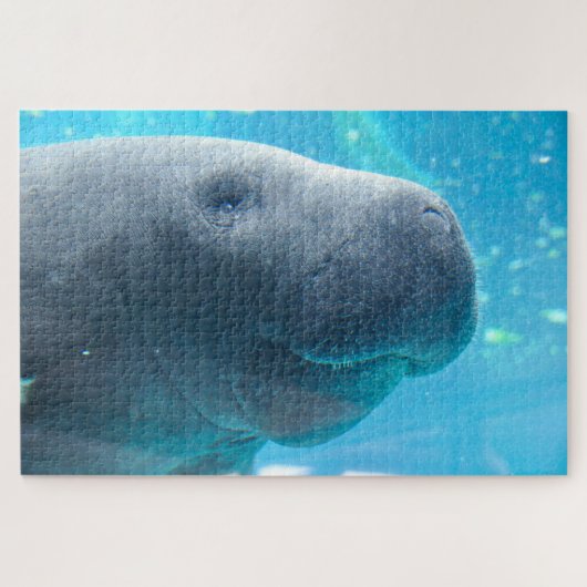 Puzzle Manatee (Horizontal)