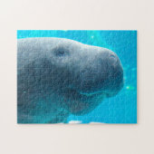 Puzzle Manatee en Floride (Horizontal)