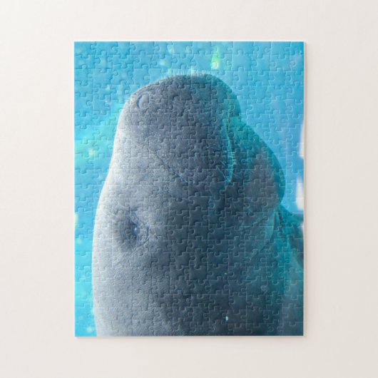 Puzzle Manatee en Floride (Vertical)