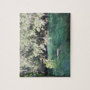 Puzzle Manatees Natation Floride Blue Springs State Park