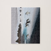 Puzzle Manchots à jugulaire (Vertical)