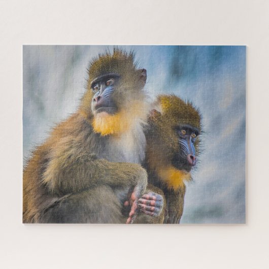 Puzzle Mandril. (Horizontal)