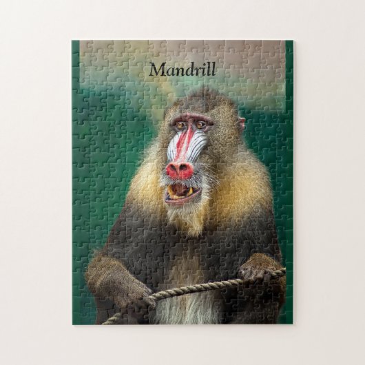 Puzzle Mandrill, Ape africaine (Vertical)