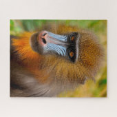 Puzzle Mandrill Singes. (Horizontal)