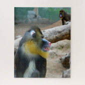 Puzzle Mandrills (Vertical)