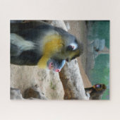 Puzzle Mandrills (Horizontal)