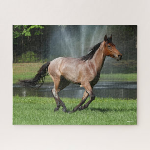 Puzzle Mangalarga Courir devant la Fontaine