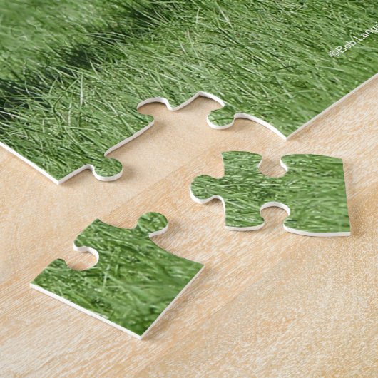 Puzzle Mangalarga Courir devant la Fontaine (Côté)