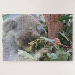 Puzzle mangeur de koala