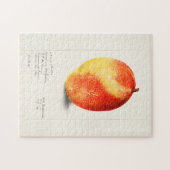 Puzzle Mango (Mangifera Indica) Peinture d'aquarelle aux  (Horizontal)