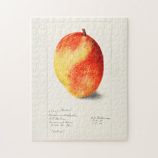 Puzzle Mango (Mangifera Indica) Peinture d'aquarelle aux  (Vertical)