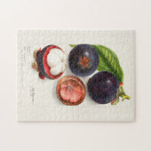 Puzzle Mangosteens (Garcinia Mangostana) Peinture aux fru (Horizontal)