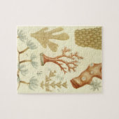 Puzzle Manuel de sciences Biologie, Animaux de corail vin (Horizontal)