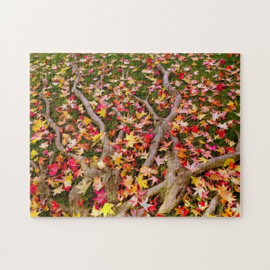 Puzzle Maple Leavs (Horizontal)