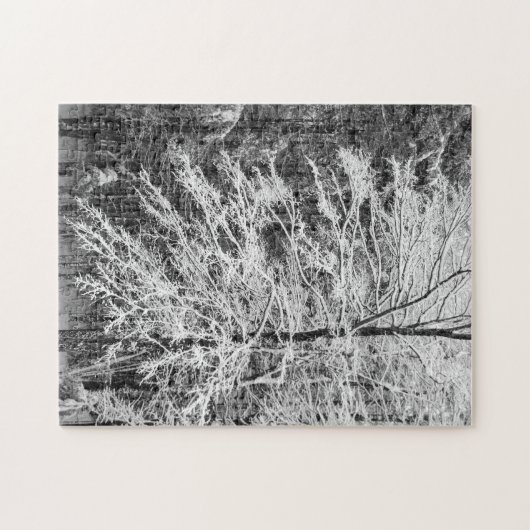 Puzzle Maple Tree Outlined In Snow (Horizontal)