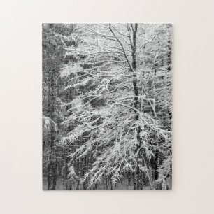 Puzzle Maple Tree Outlined In Snow