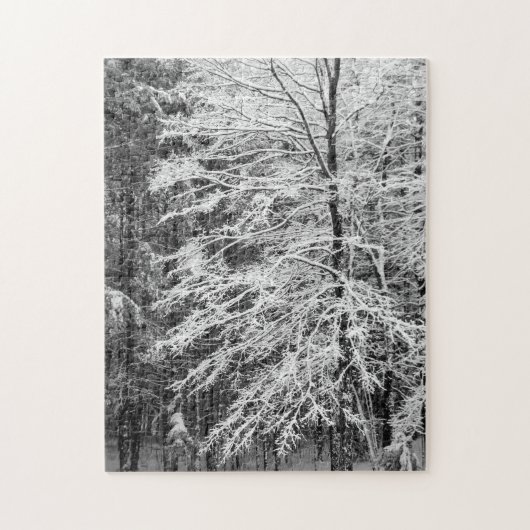 Puzzle Maple Tree Outlined In Snow (Vertical)
