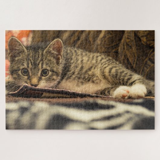 Puzzle maquereau kitten (Horizontal)