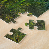 Puzzle Marais à Massabesic (Côté)