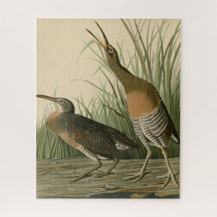 Puzzle Marais d'eau salée Hen - Audubon's Birds of Americ