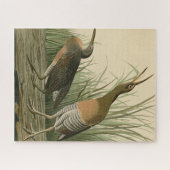 Puzzle Marais d'eau salée Hen - Audubon's Birds of Americ (Horizontal)