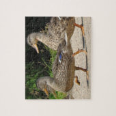 Puzzle Marche des Canards (Vertical)