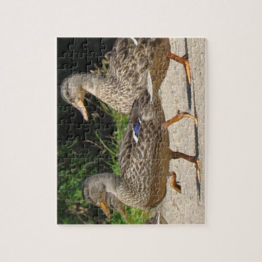 Puzzle Marche des Canards (Vertical)