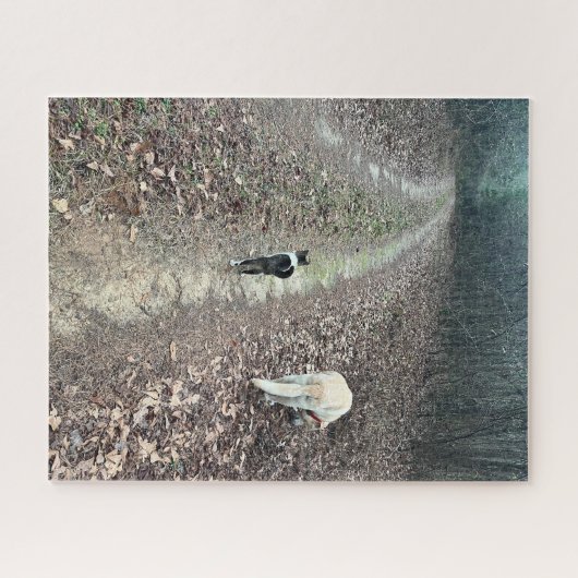 Puzzle Marche du matin (Horizontal)