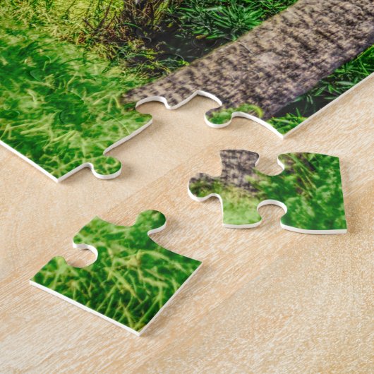 Puzzle Marcher le long de Rainbow Row (Côté)