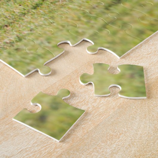 Puzzle Mare avec Foal, îles Shetland, Ecosse (Côté)