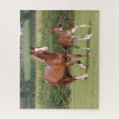Puzzle Mare de sang chaud et poulain marchent ensemble (Vertical)