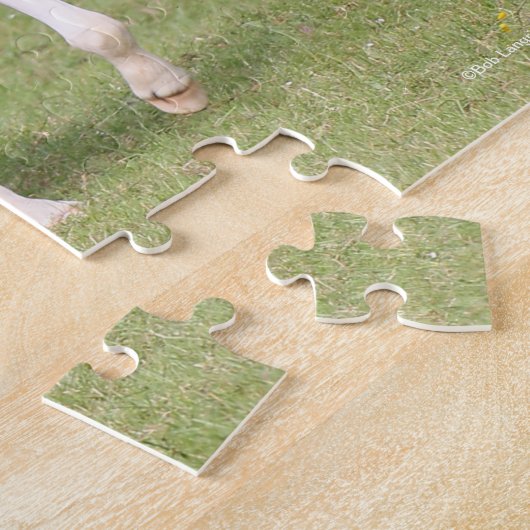 Puzzle Mare de sang chaud et poulain marchent ensemble (Côté)