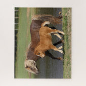 Puzzle Mare miniature et poulain marchant au bord du lac (Vertical)