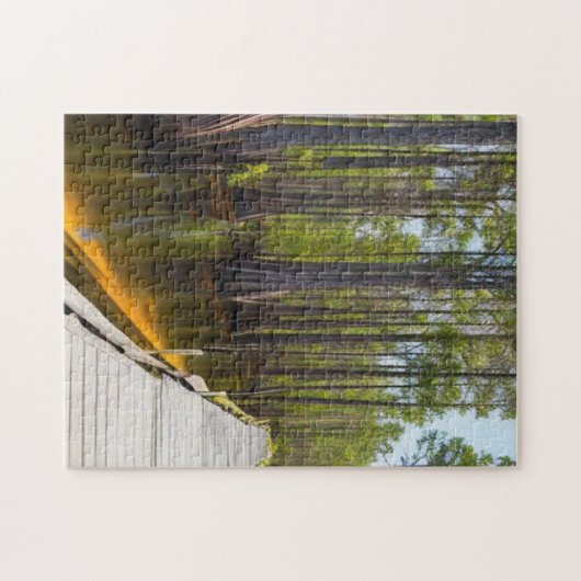 Puzzle Marécage d'Okefenokee (Horizontal)