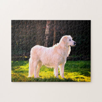 Puzzle Maremma Sheepdog Beauté