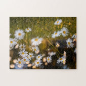 Puzzle marguerite (Horizontal)