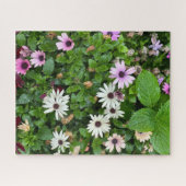 Puzzle Marguerite blanche, Séoul (Horizontal)