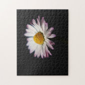 Puzzle Marguerite commune 11x14 252pc jpa (Vertical)