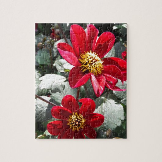 Puzzle marguerite rose chaud rouge / marguerites fleurs (Vertical)