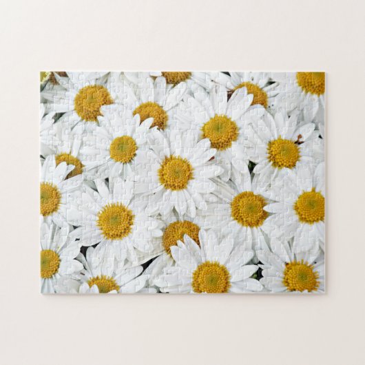 Puzzle Marguerites (Horizontal)