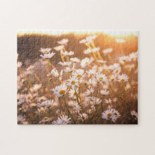 Puzzle Marguerites des prés de coucher du soleil