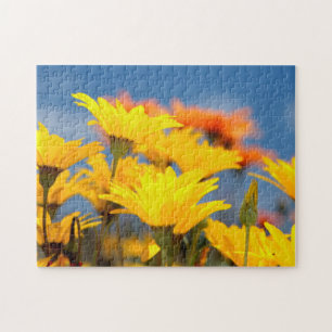 Puzzle Marguerites orange et jaune de Namaqualand